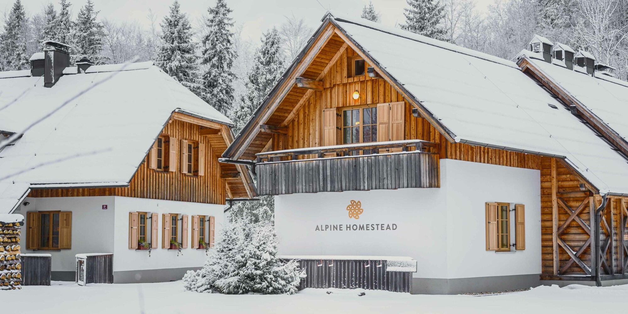 Zasneženi apartmaji Alpine Homestead