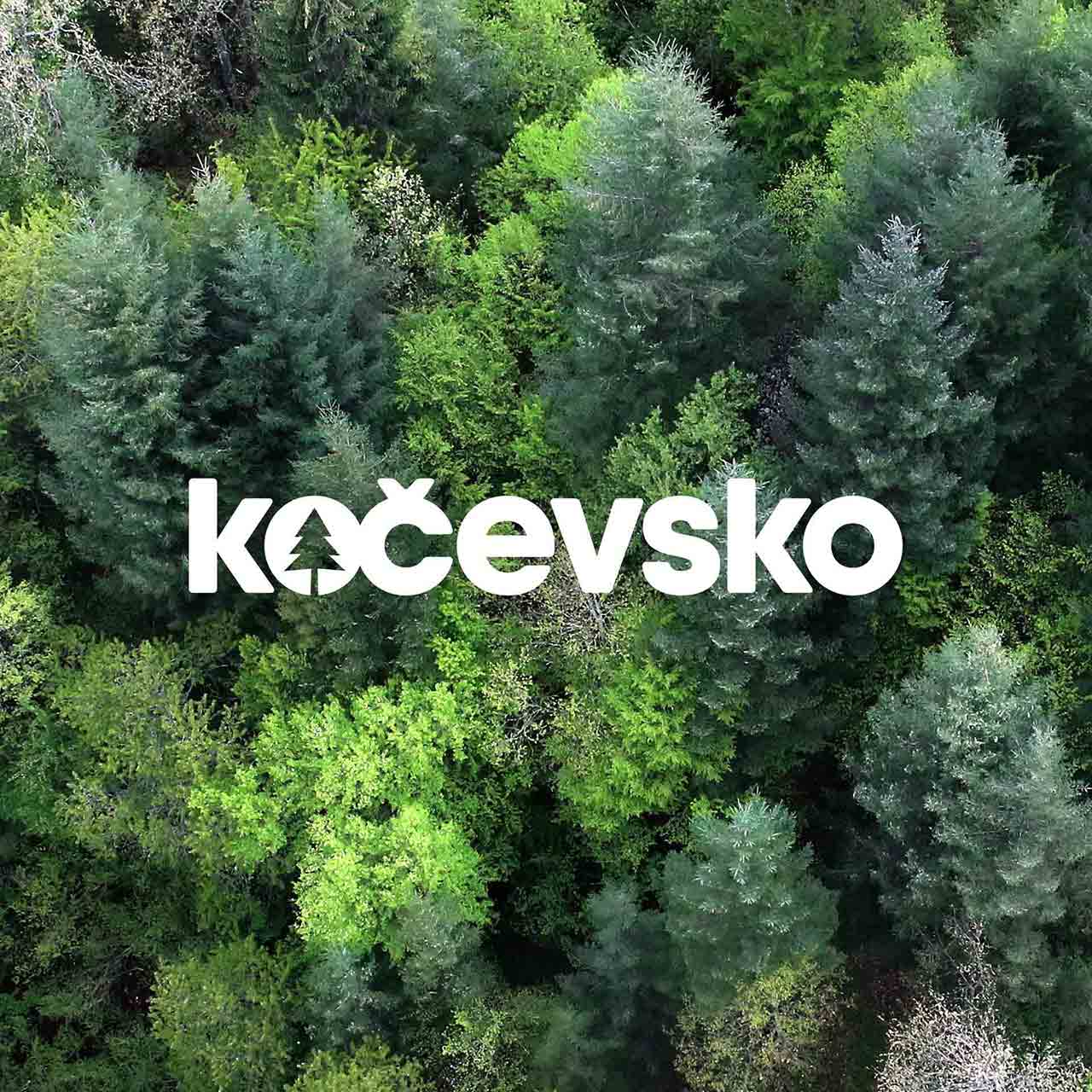 Kočevsko logotip z ozadjem gozda