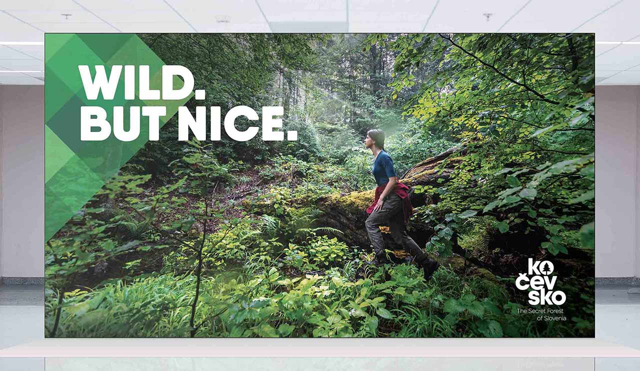 Slika gozda s sloganom Kočevskega Wild but nice