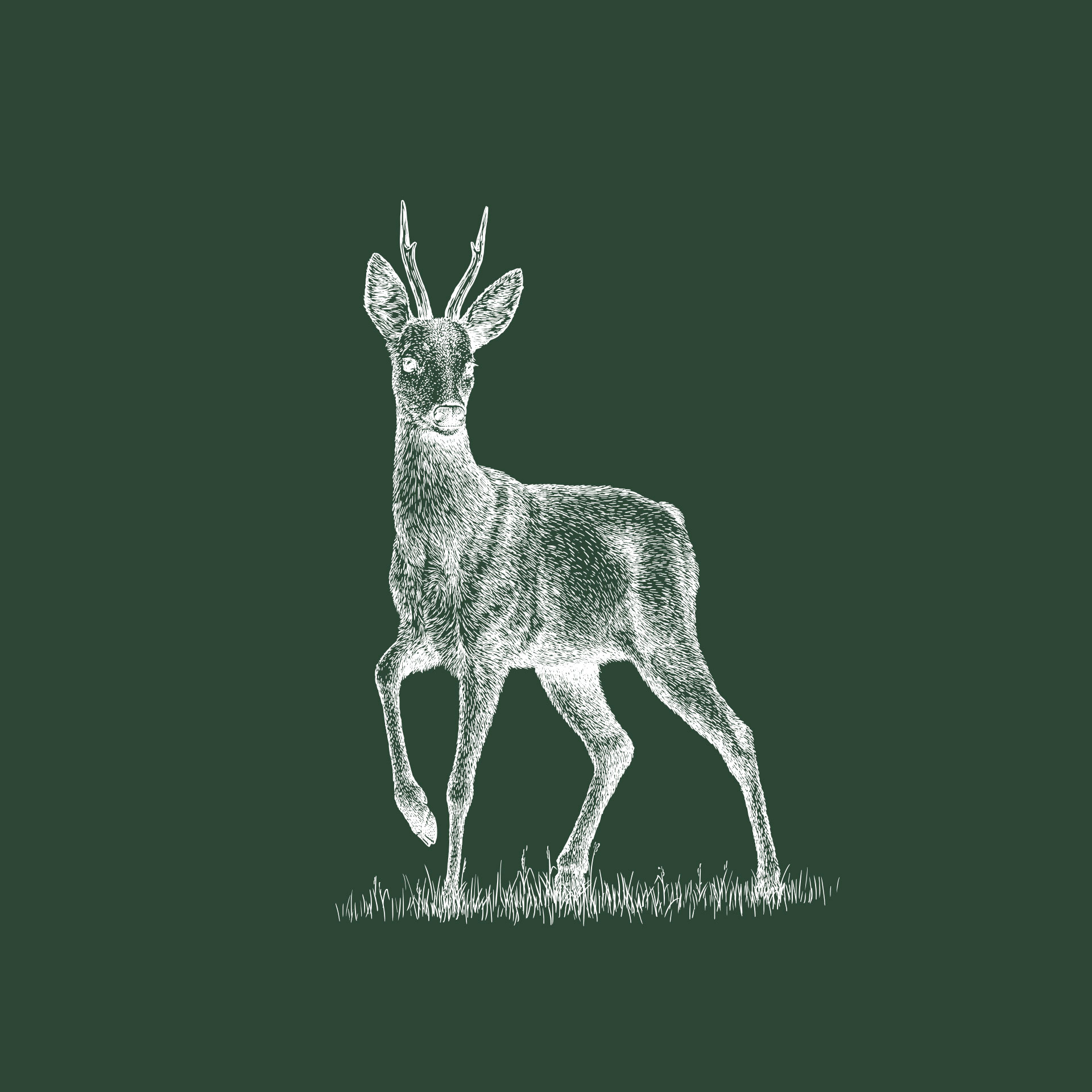 Vila Planinka ilustracija jelena